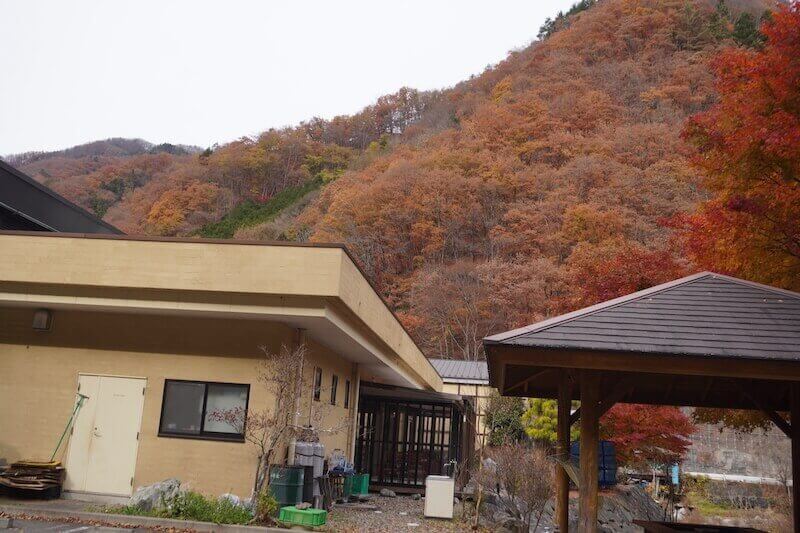 上野村の紅葉